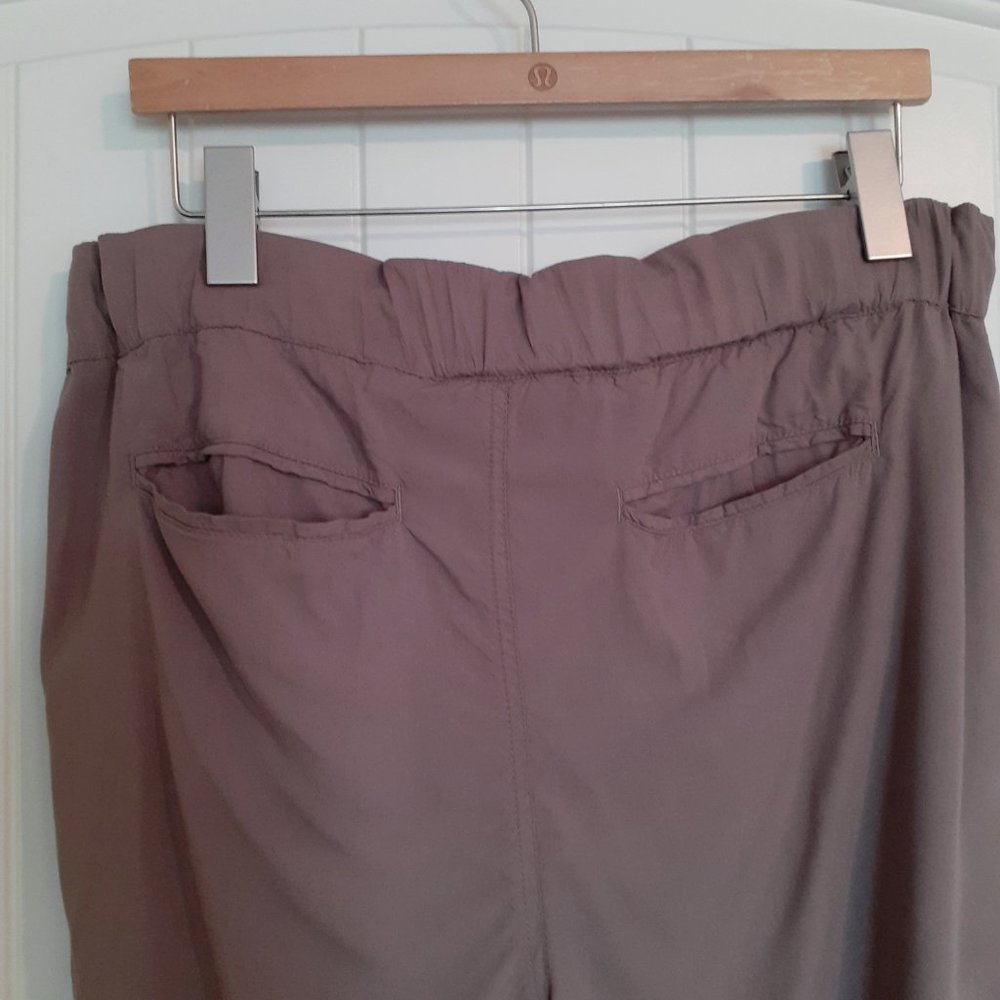 Sundance Tone It Up Embroidered Drawstring Pant Taupe Size S - Picture 8 of 13